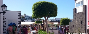Markt